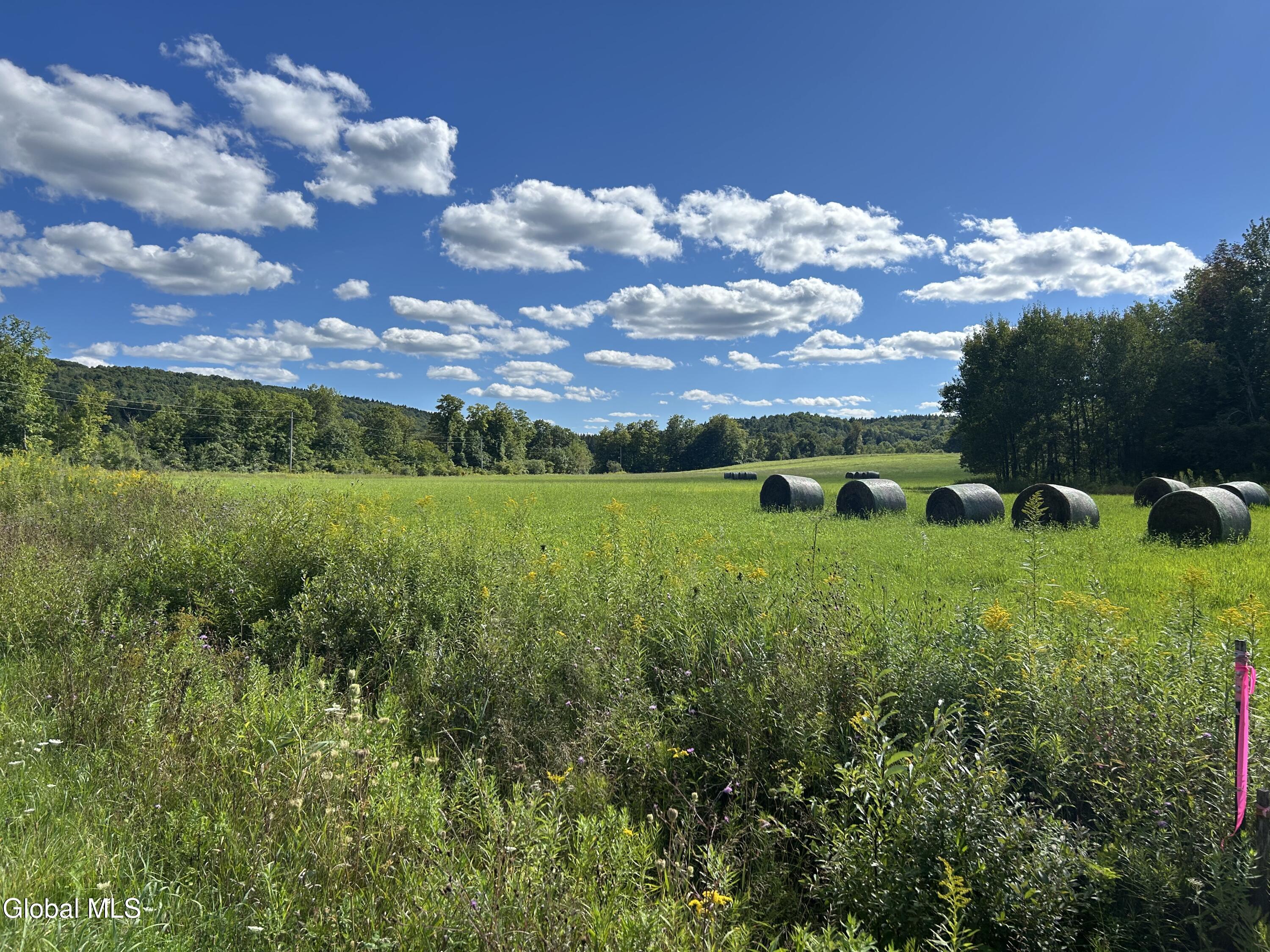 711 Gifford Hollow Road Berne NY 12023