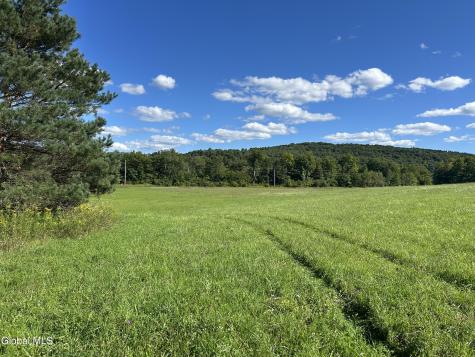 711 Gifford Hollow Road Berne NY 12023
