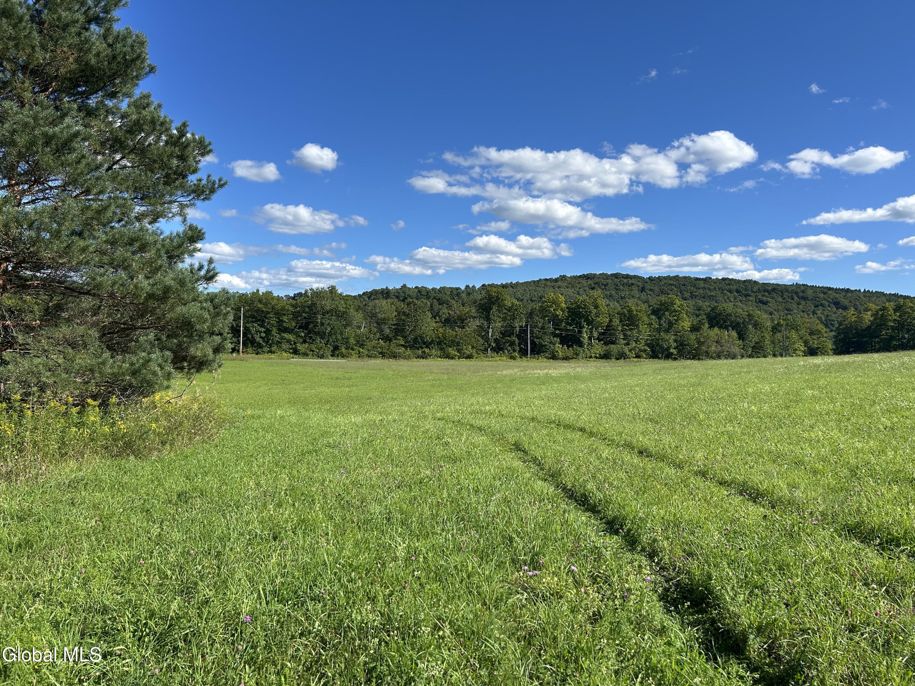 711 Gifford Hollow Road Berne NY 12023