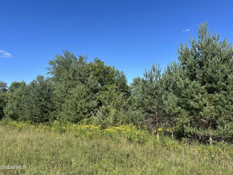 711 Gifford Hollow Road Berne NY 12023