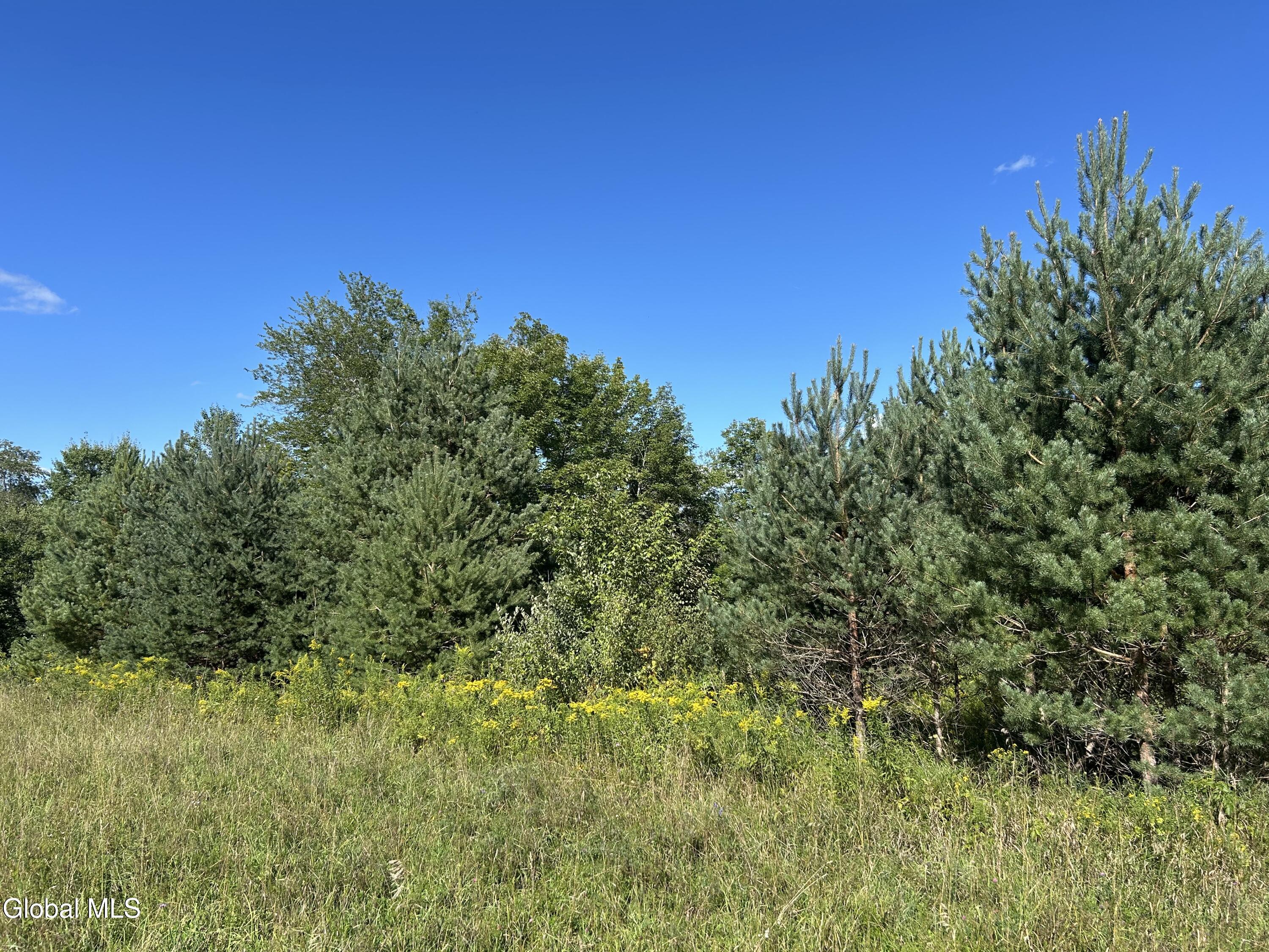 711 Gifford Hollow Road Berne NY 12023