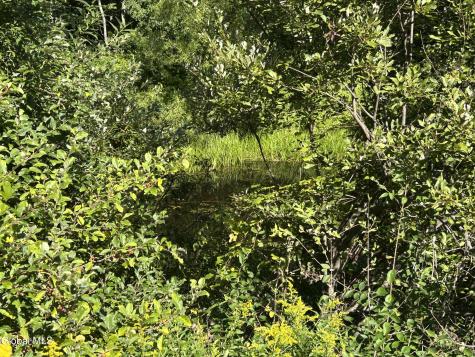 711 Gifford Hollow Road Berne NY 12023