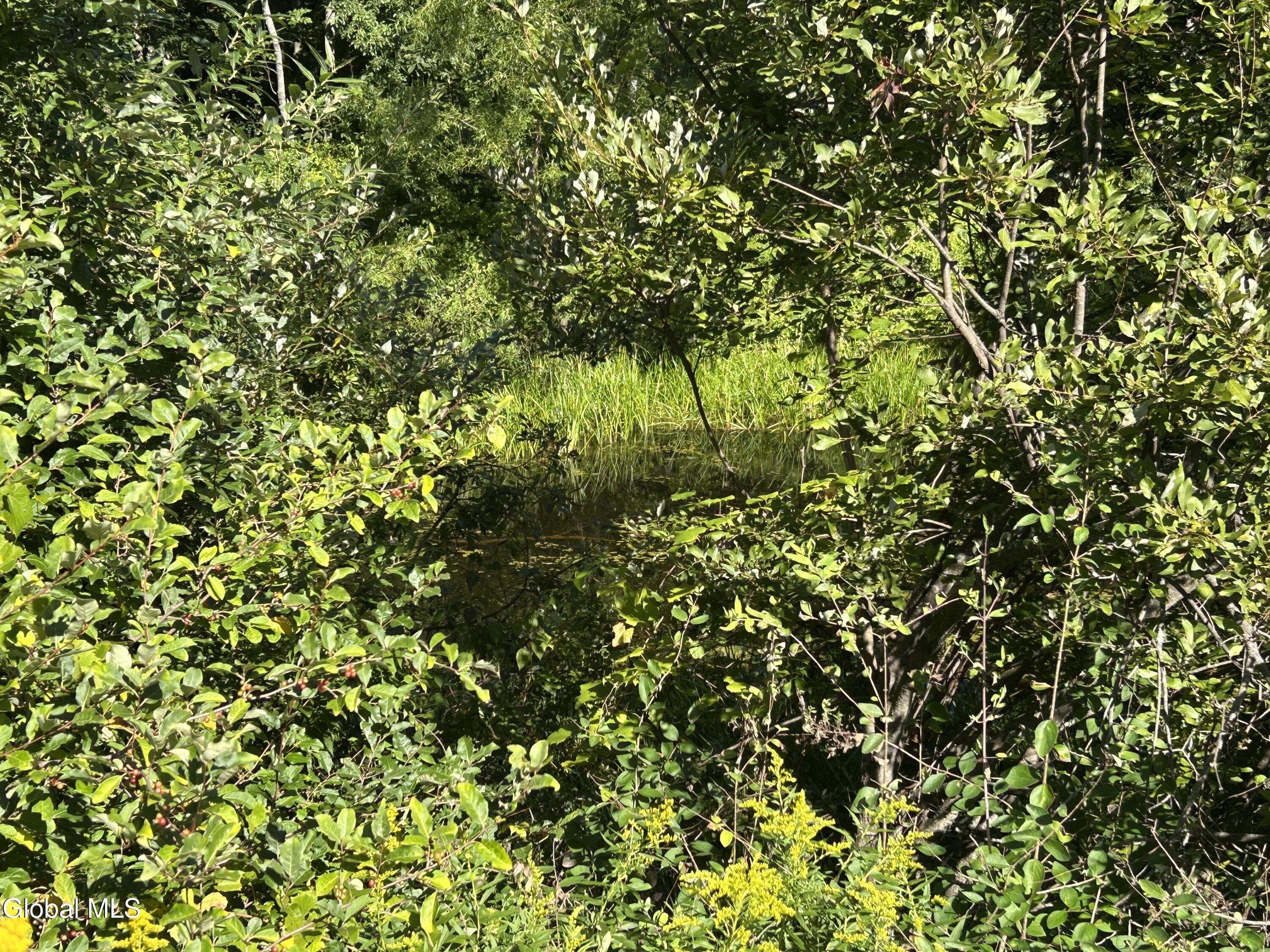 711 Gifford Hollow Road Berne NY 12023