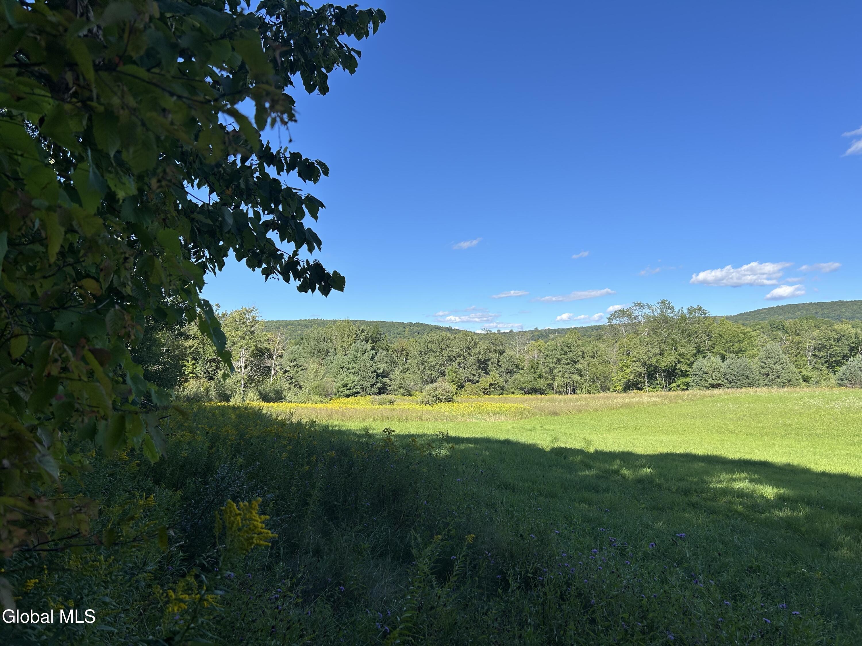 711 Gifford Hollow Road Berne NY 12023