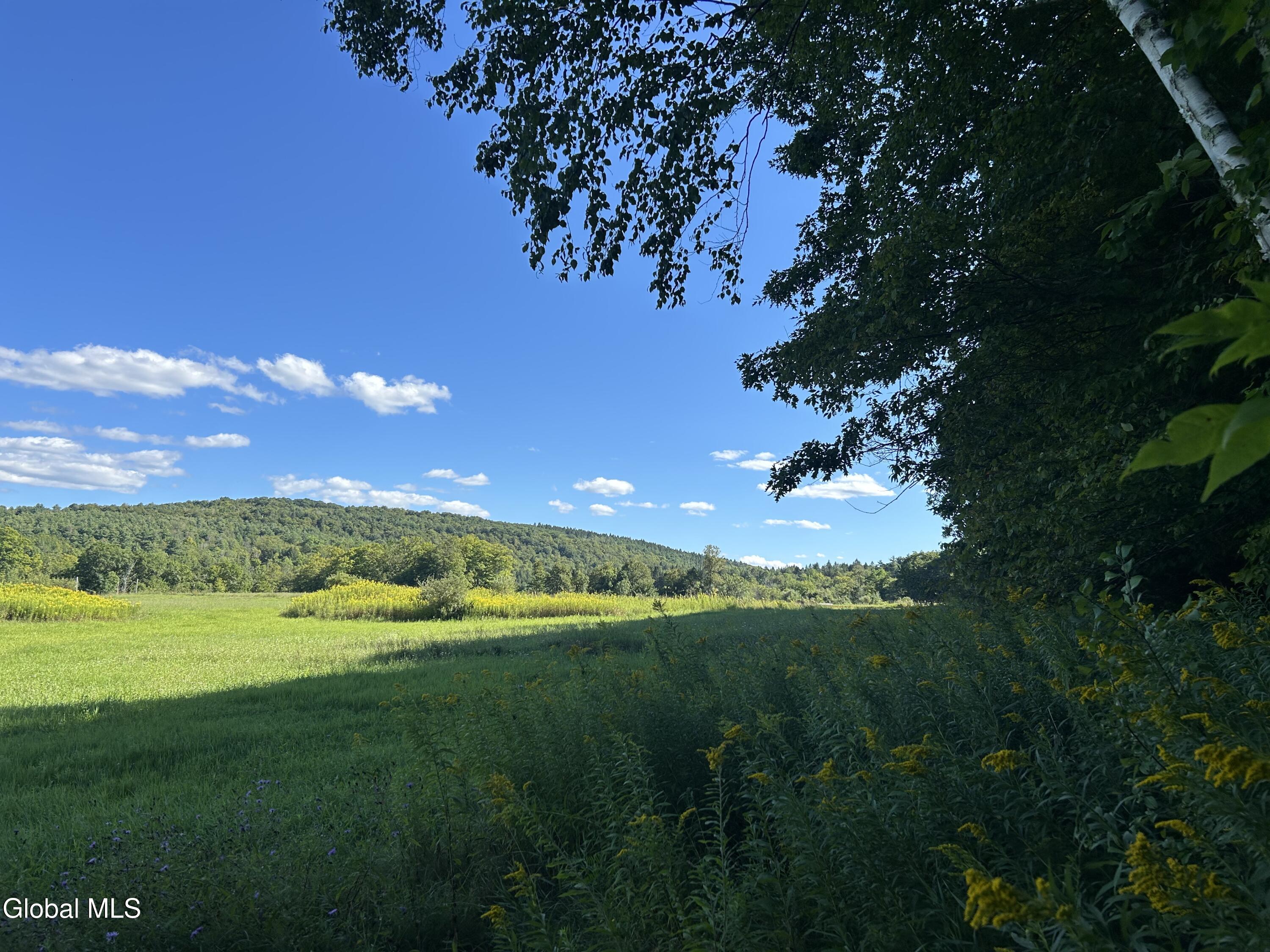 711 Gifford Hollow Road Berne NY 12023