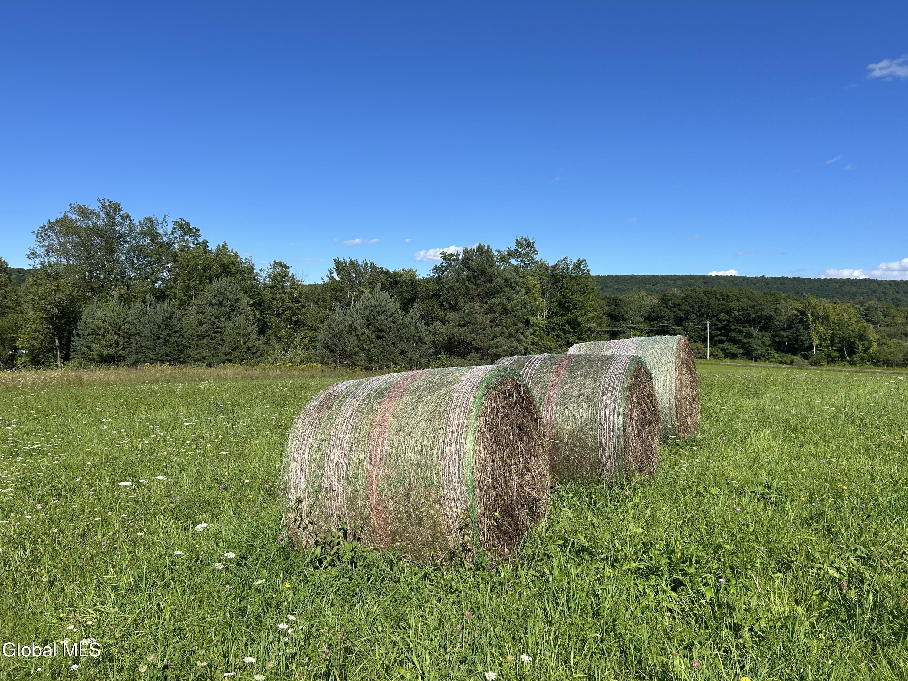 711 Gifford Hollow Road Berne NY 12023