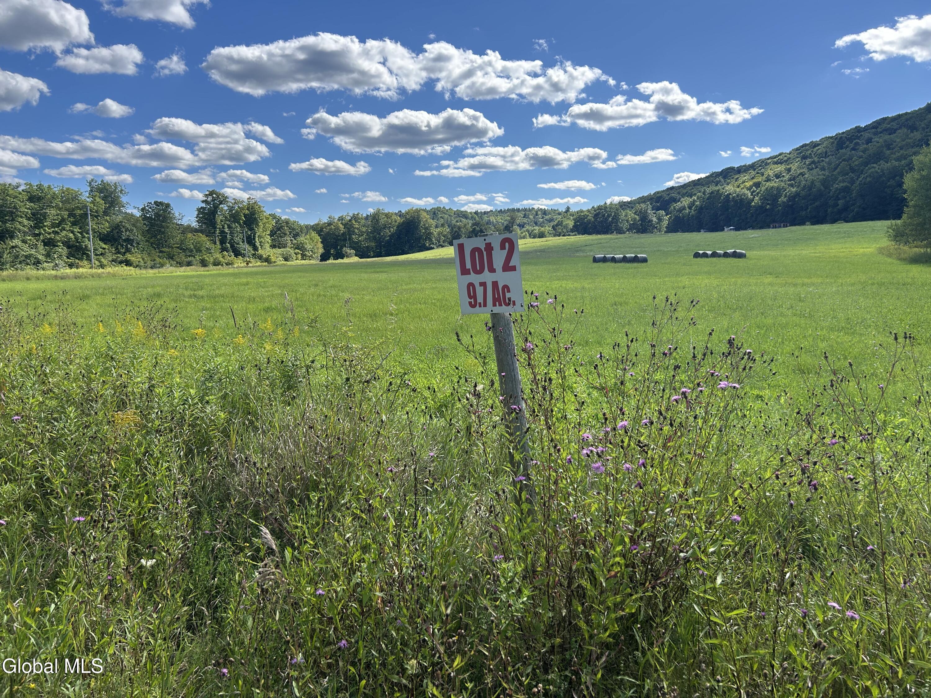 711 Gifford Hollow Road Berne NY 12023