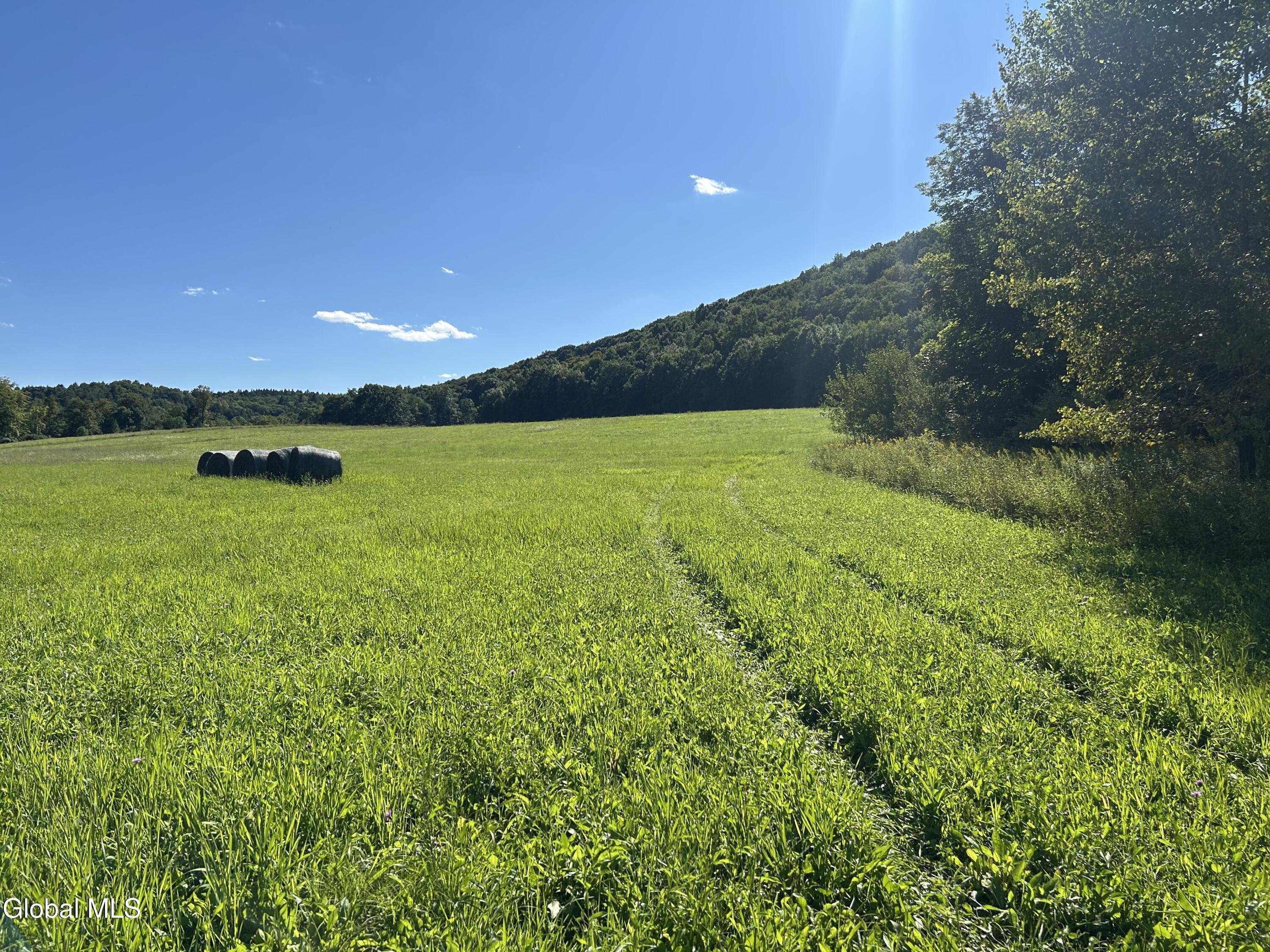 711 Gifford Hollow Road Berne NY 12023