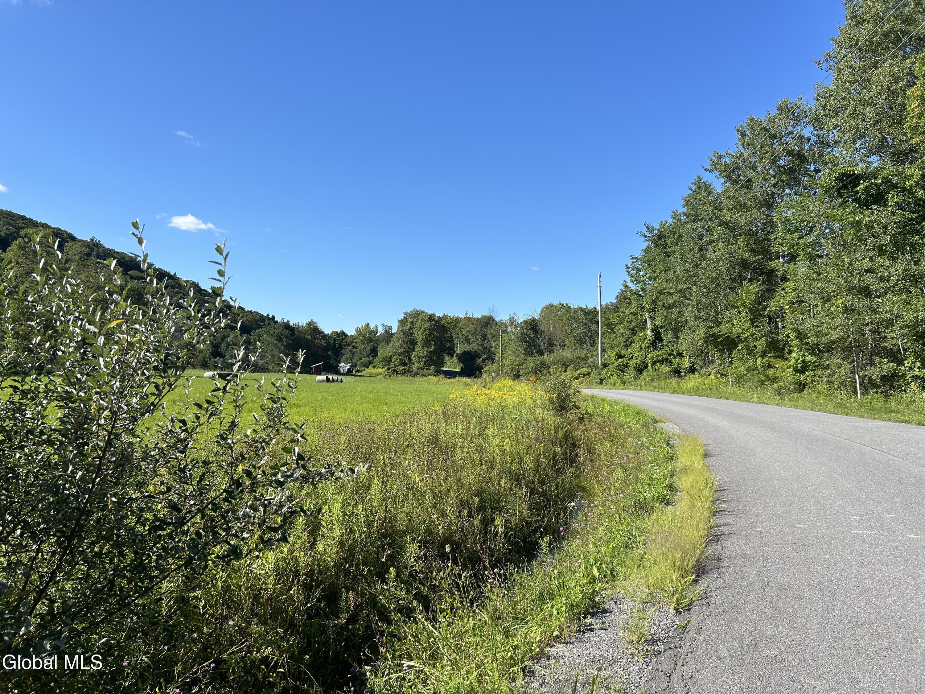 711 Gifford Hollow Road Berne NY 12023