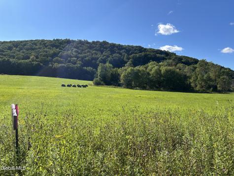 711 Gifford Hollow Road Berne NY 12023