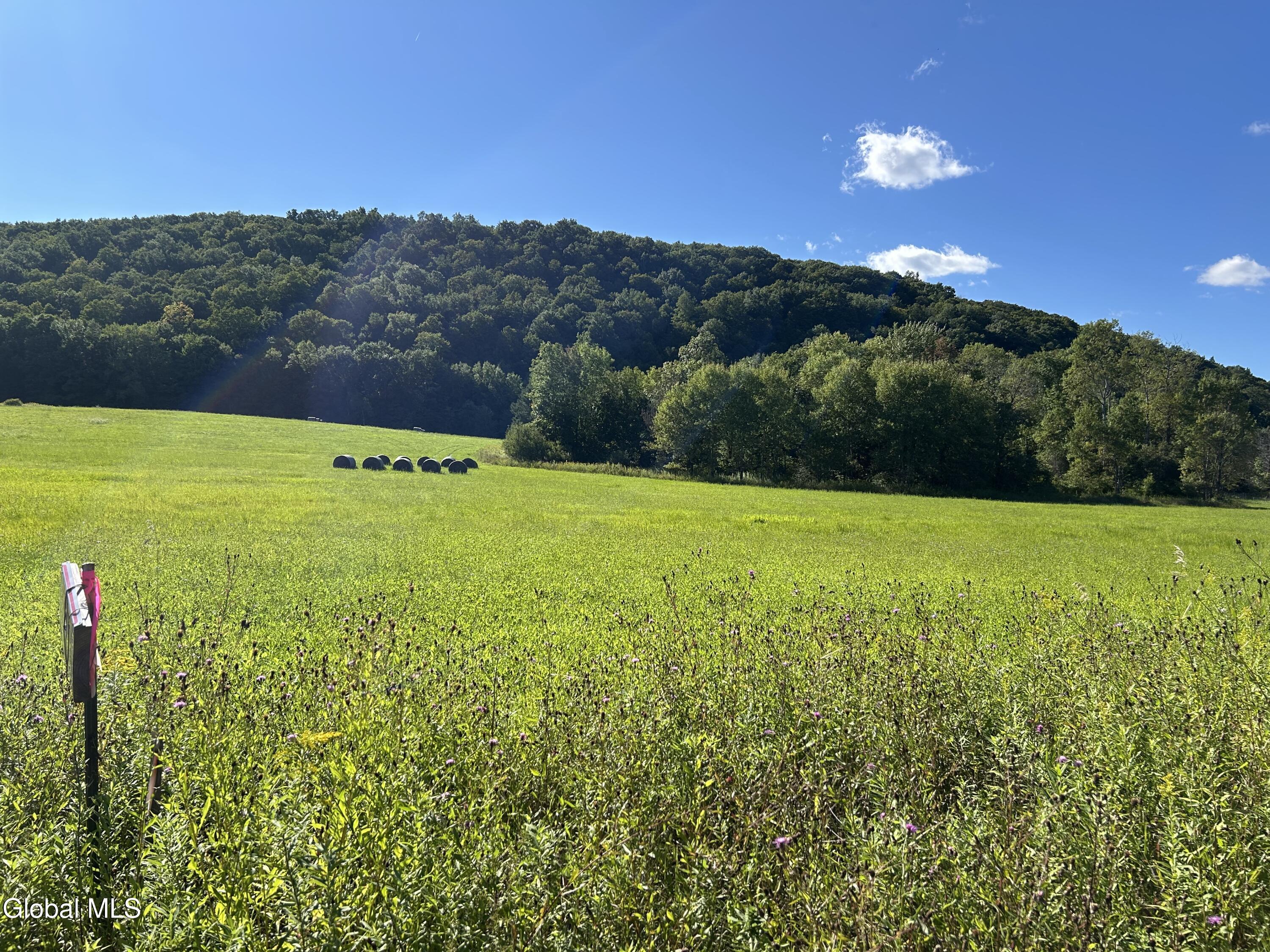 711 Gifford Hollow Road Berne NY 12023