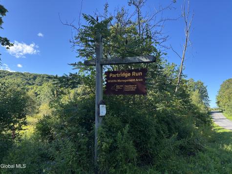 711 Gifford Hollow Road Berne NY 12023
