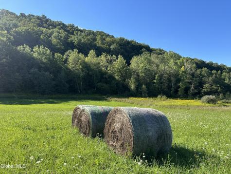 711 Gifford Hollow Road Berne NY 12023