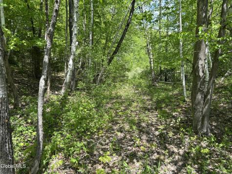 711 Gifford Hollow Road Berne NY 12023