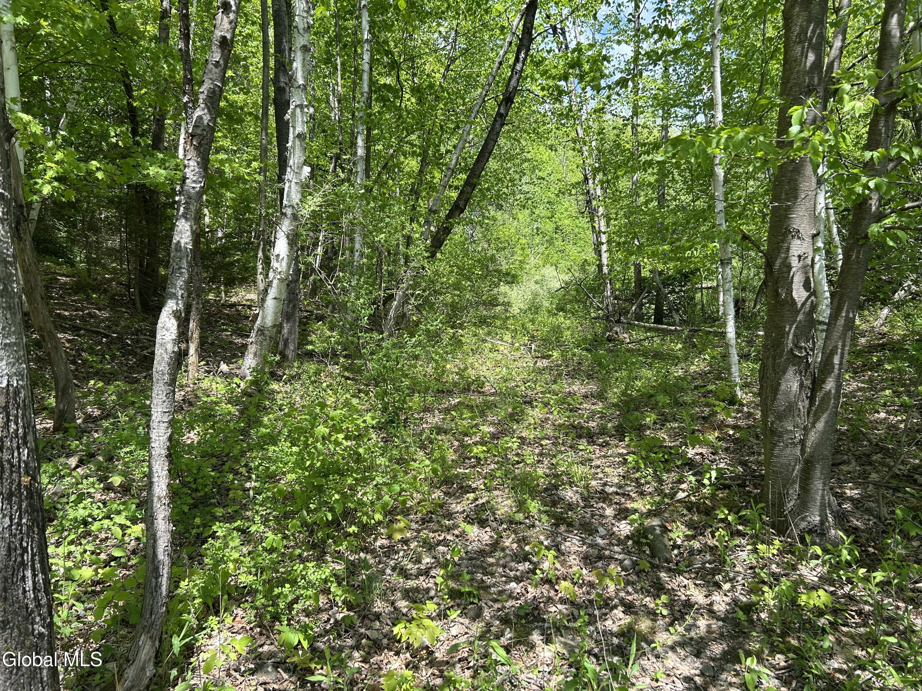 711 Gifford Hollow Road Berne NY 12023
