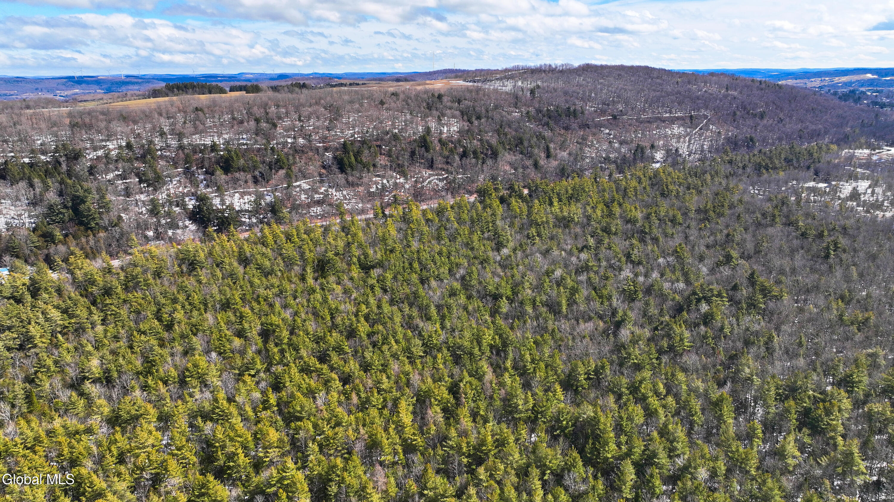 L2.5 Swamp Road Morrisville NY 13408