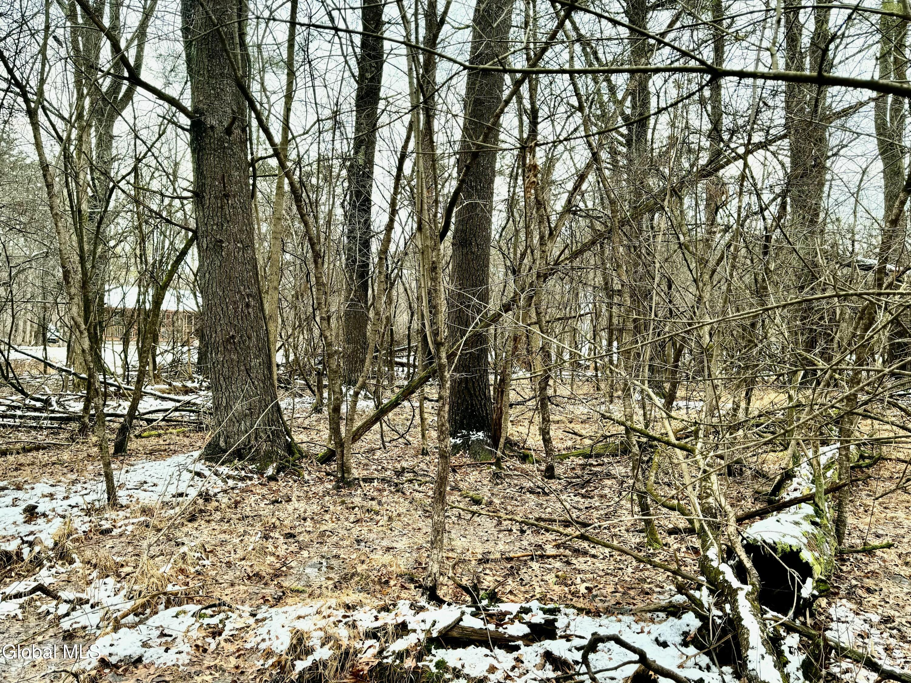 2000 Sleepy Hollow Road Athens NY 12015
