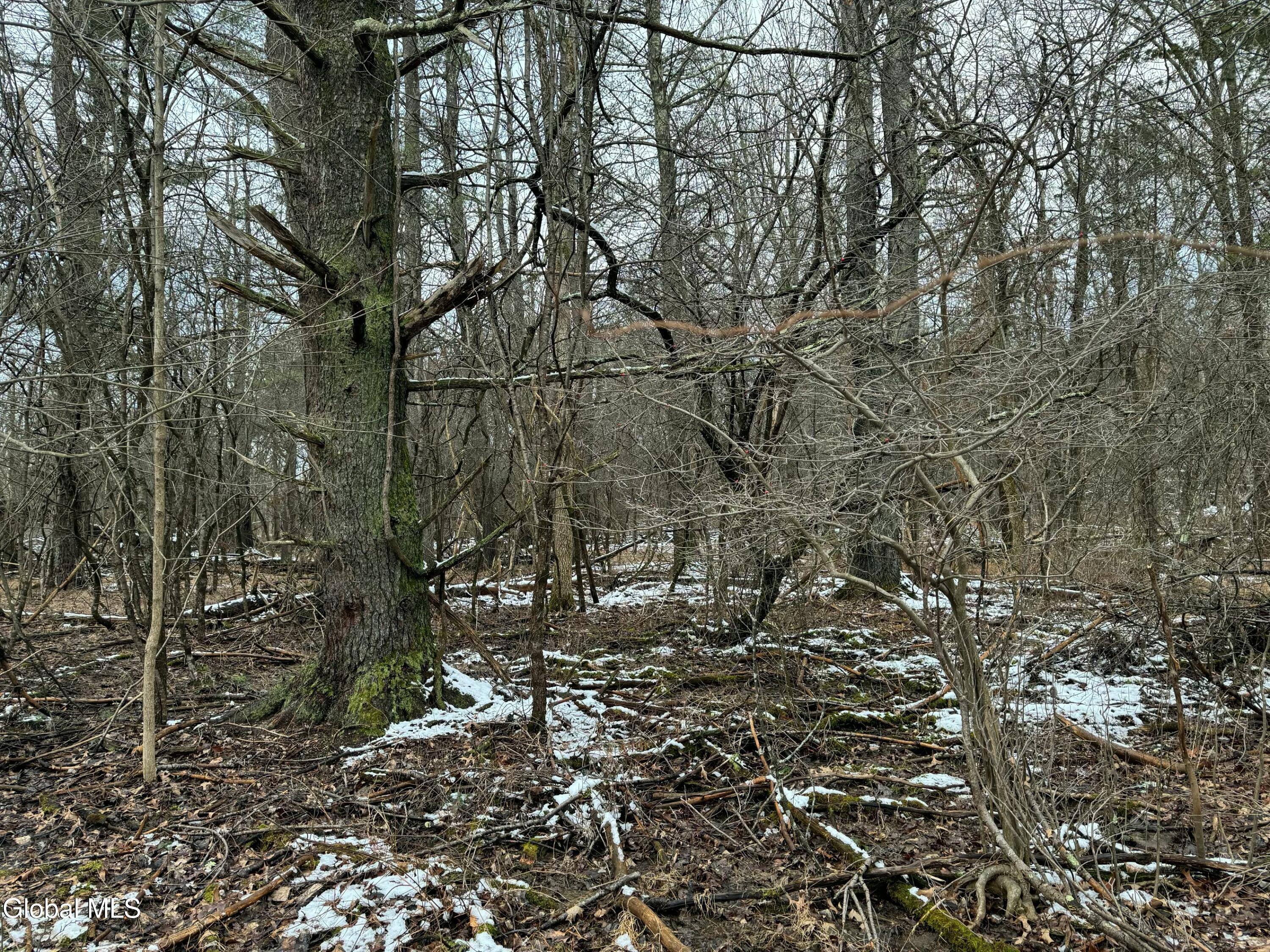 2000 Sleepy Hollow Road Athens NY 12015