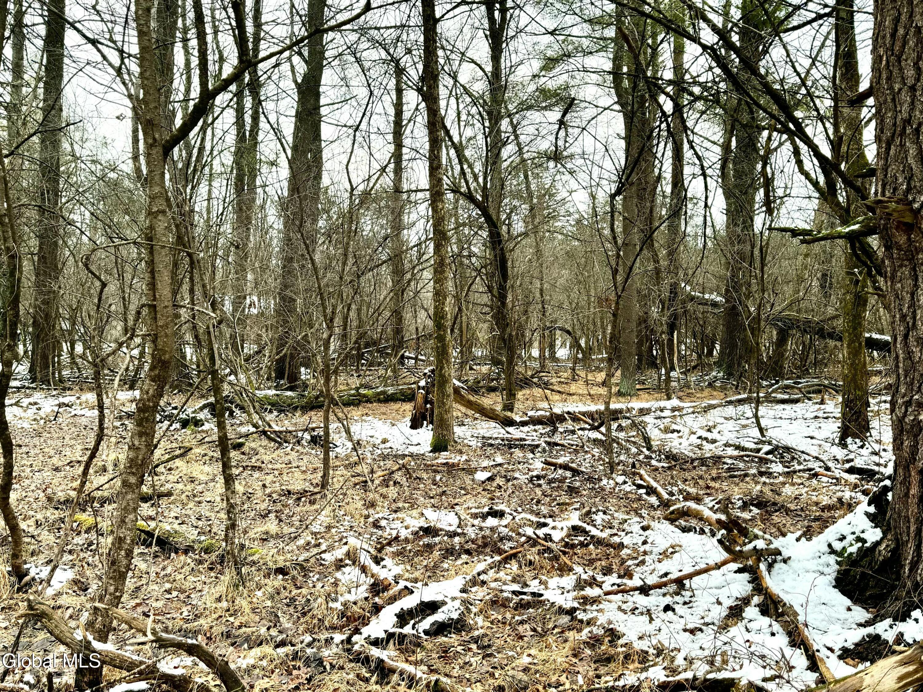 2000 Sleepy Hollow Road Athens NY 12015