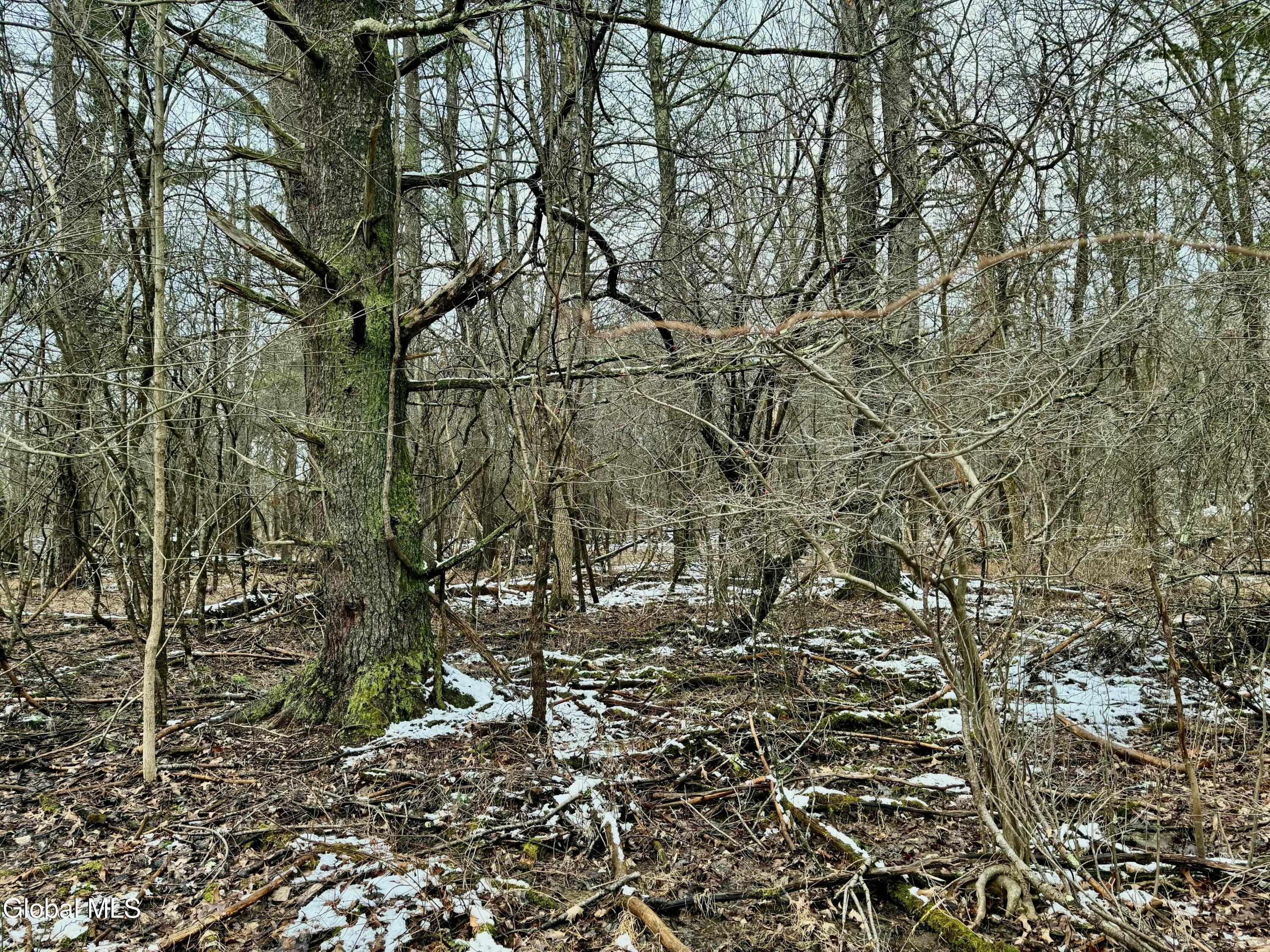2000 Sleepy Hollow Road Athens NY 12015