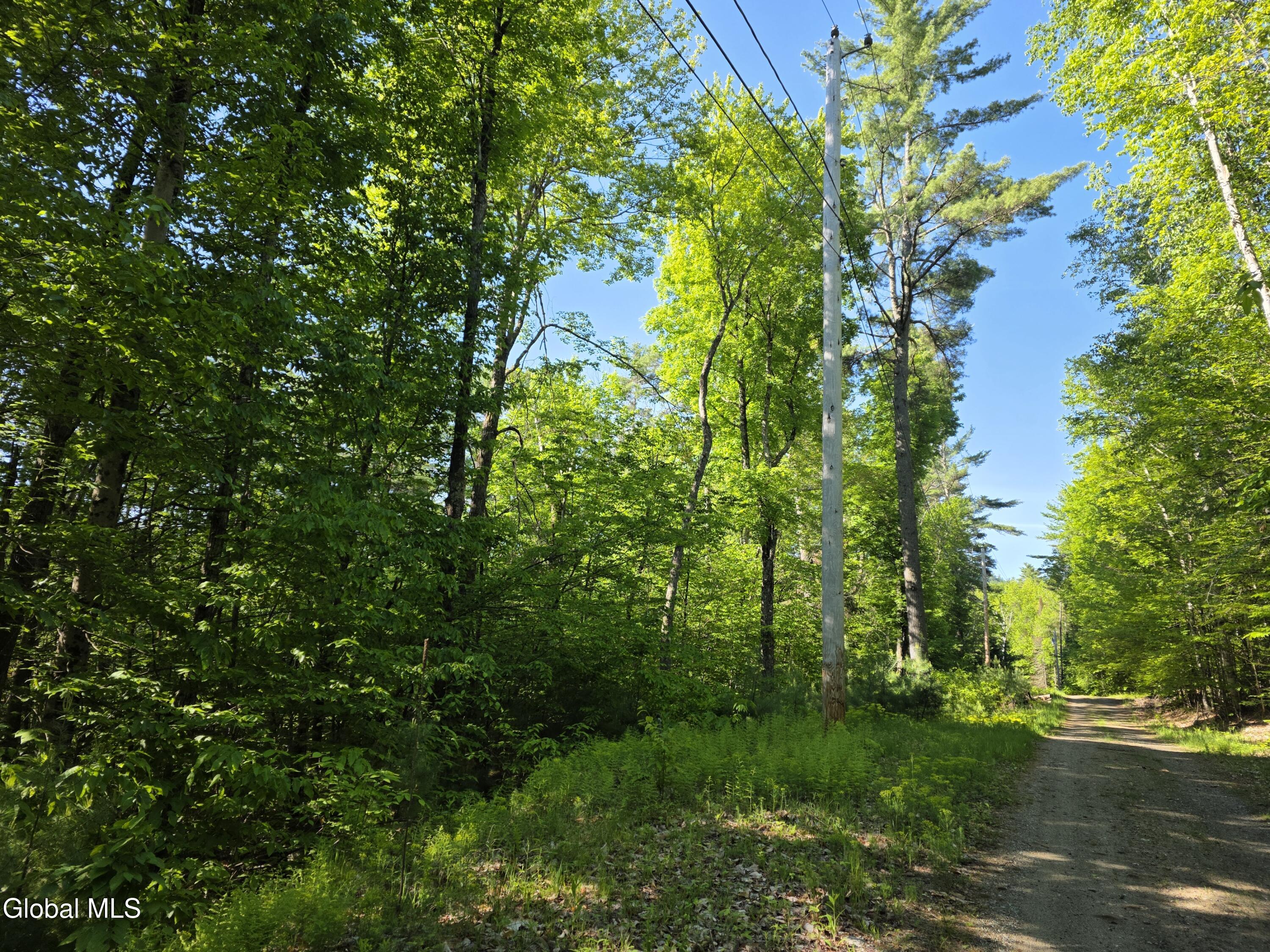 L5 Clearwater Lake Road Brant Lake NY 12815