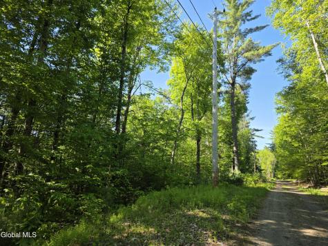 L5 Clearwater Lake Road Brant Lake NY 12815