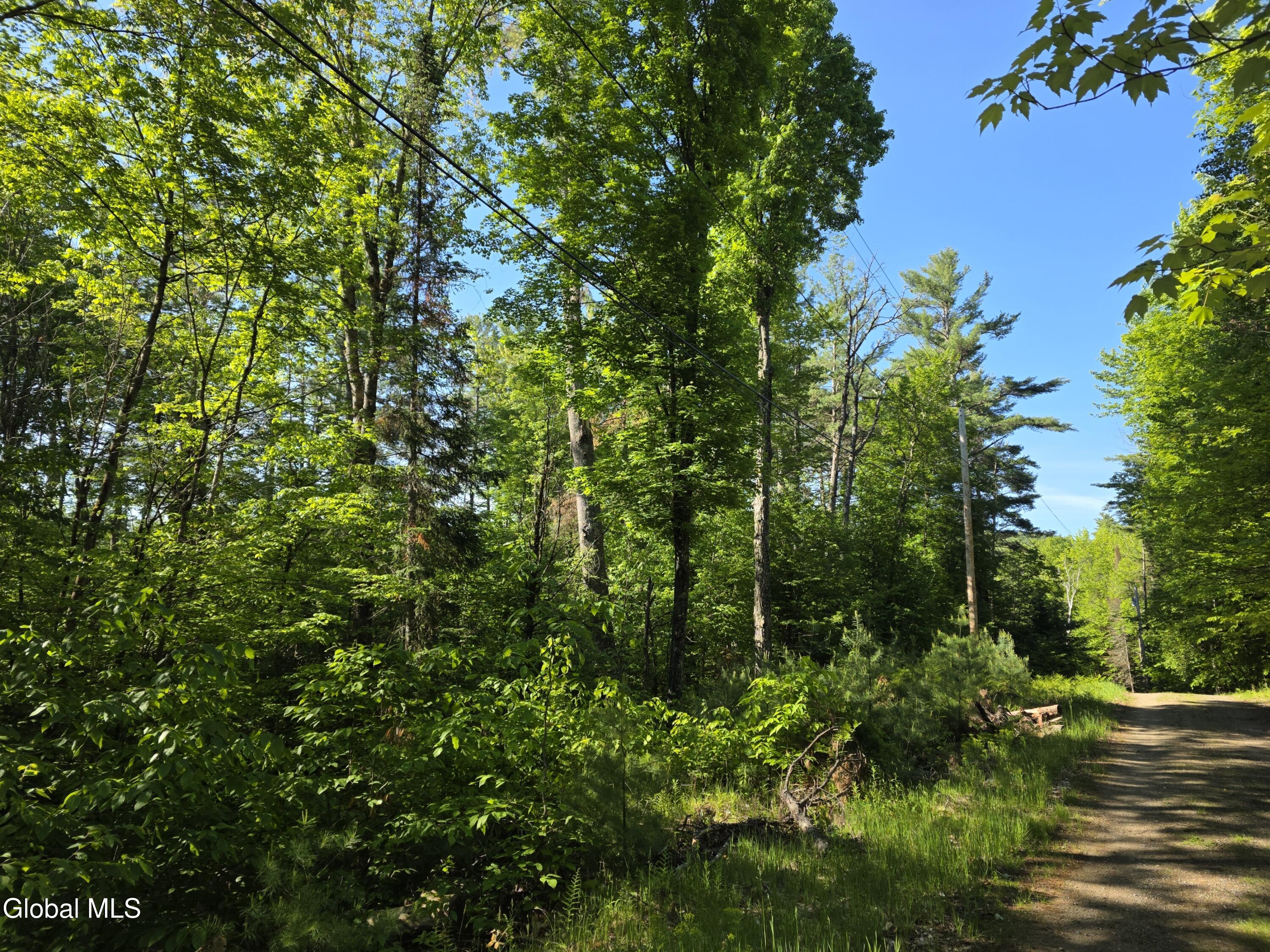 L5 Clearwater Lake Road Brant Lake NY 12815
