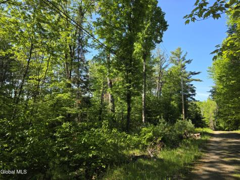 L5 Clearwater Lake Road Brant Lake NY 12815