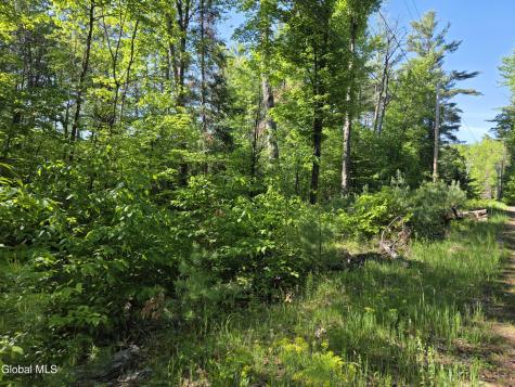 L5 Clearwater Lake Road Brant Lake NY 12815