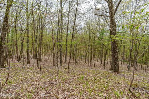 L.83 Maschodack Road Nassau NY 12123