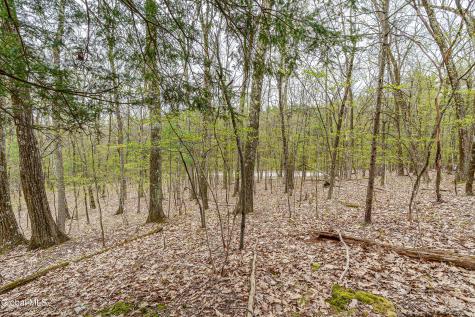 L.83 Maschodack Road Nassau NY 12123