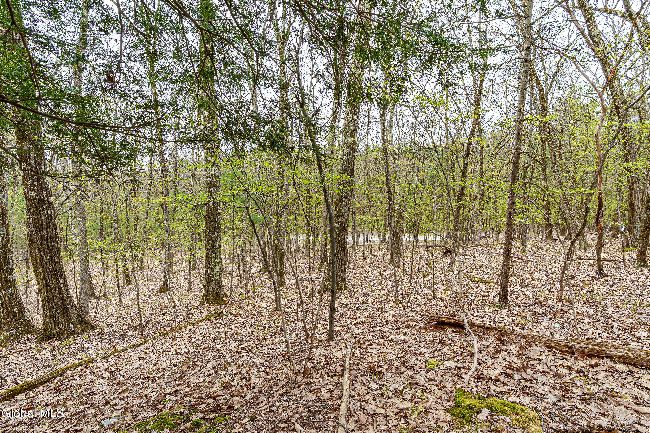 L.83 Maschodack Road Nassau NY 12123