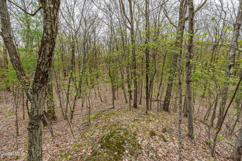 L.83 Maschodack Road Nassau NY 12123