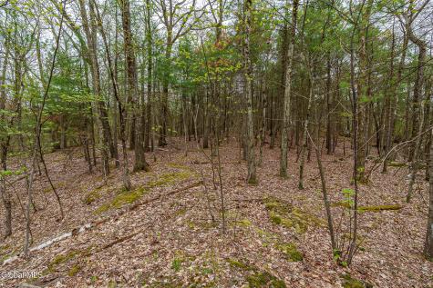 L.83 Maschodack Road Nassau NY 12123