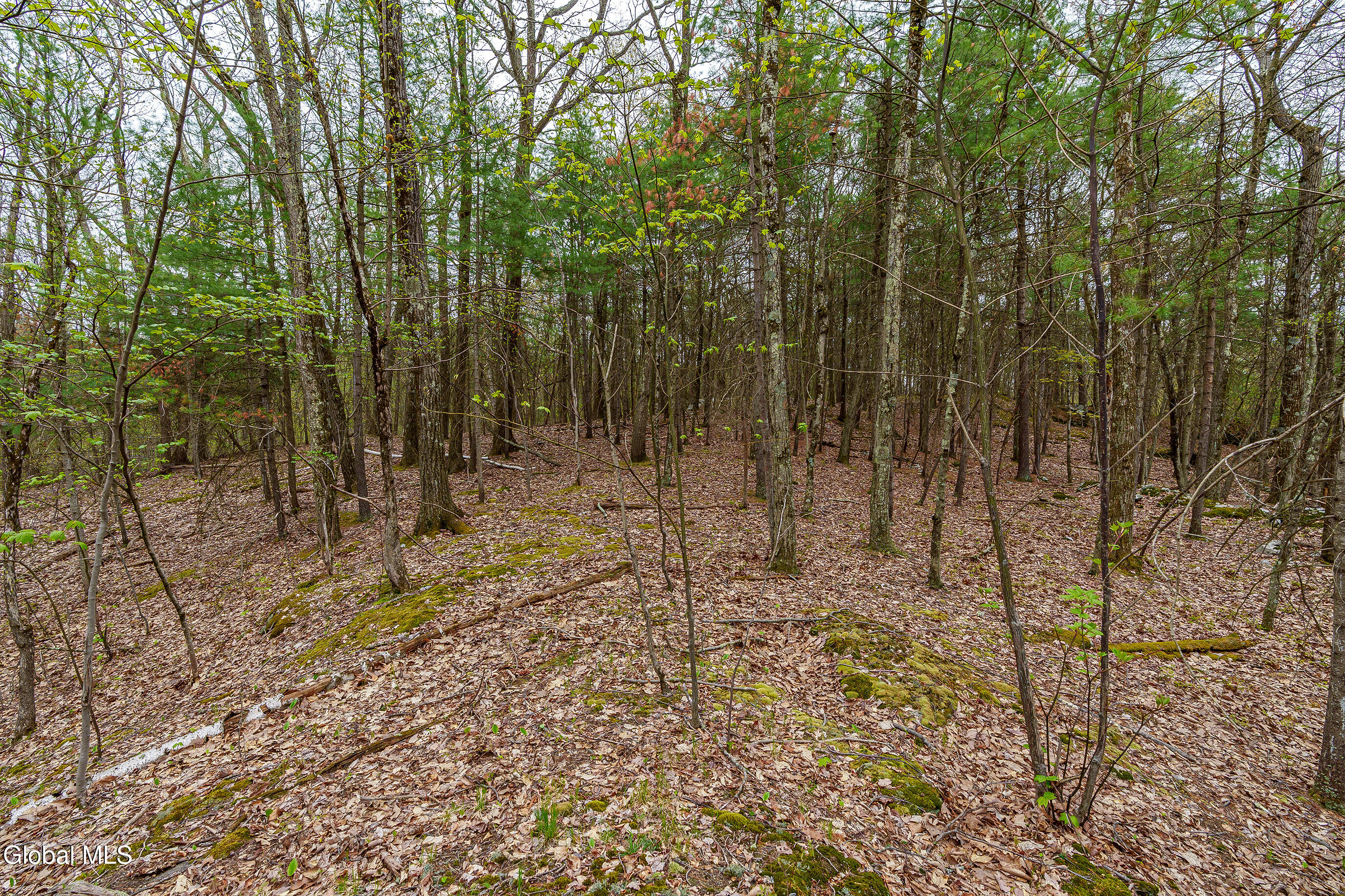 L.83 Maschodack Road Nassau NY 12123