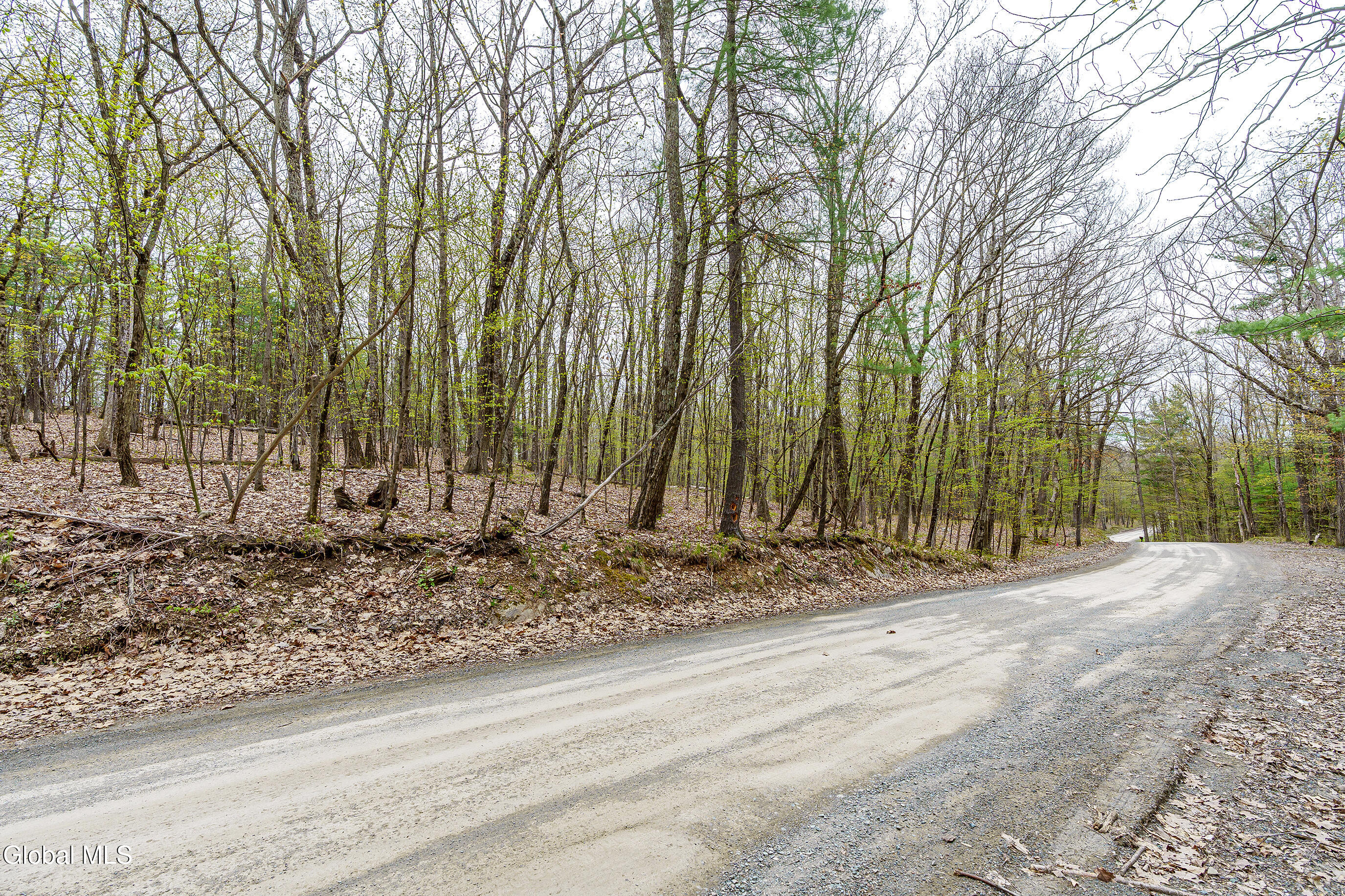 L.83 Maschodack Road Nassau NY 12123