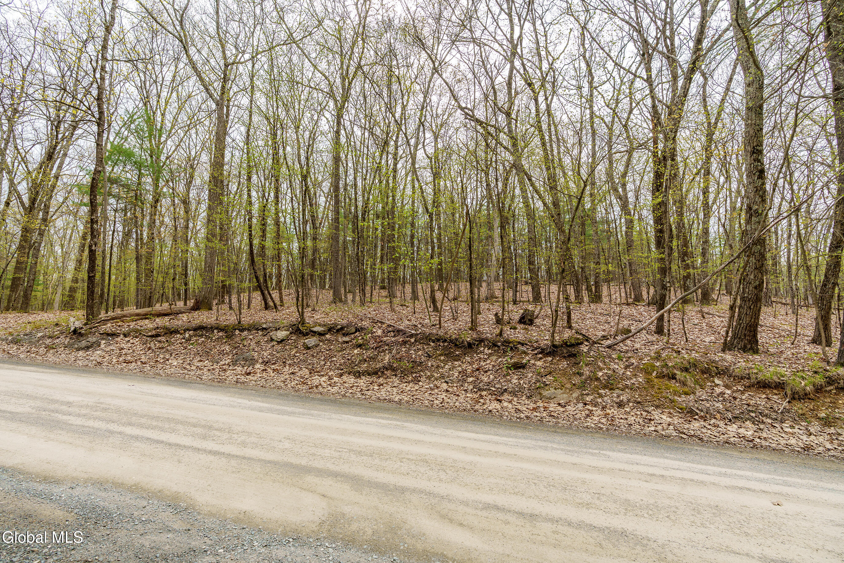 L.83 Maschodack Road Nassau NY 12123