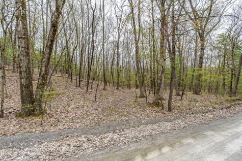 L.83 Maschodack Road Nassau NY 12123