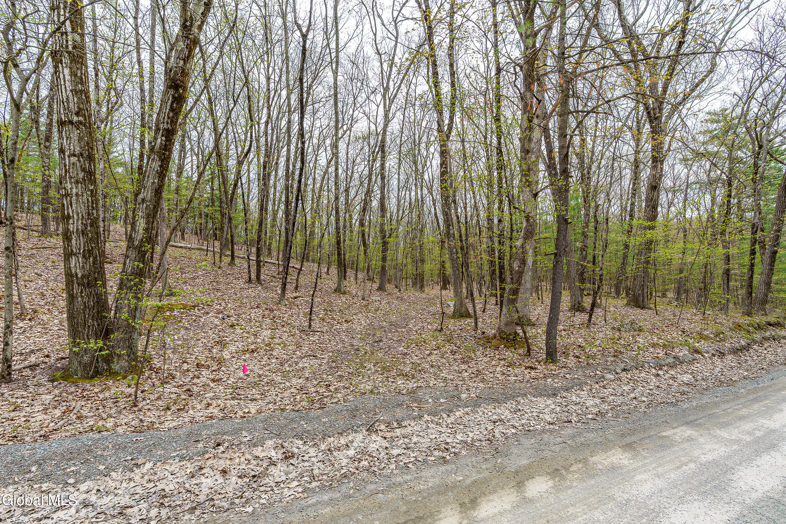L.83 Maschodack Road Nassau NY 12123