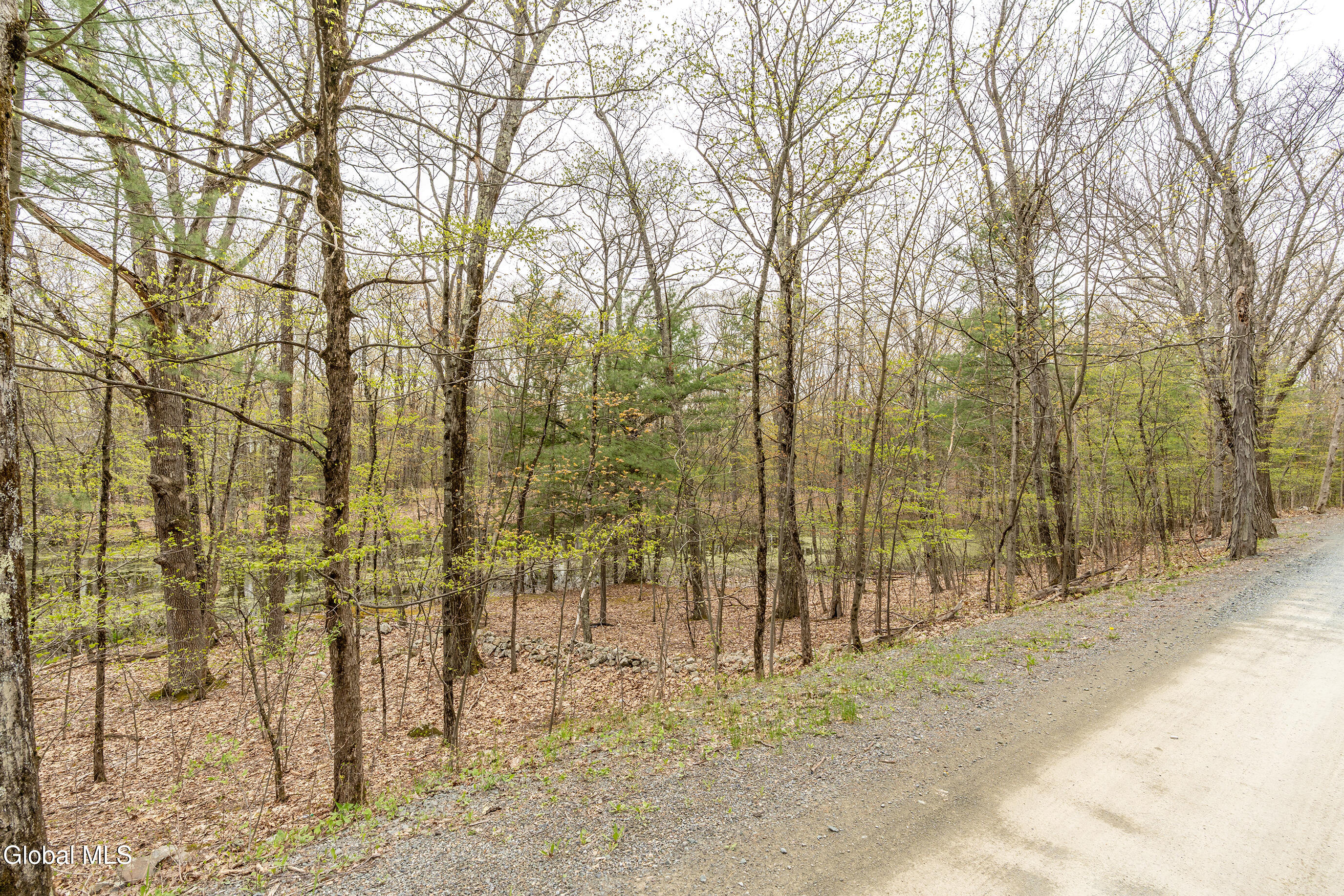 L.83 Maschodack Road Nassau NY 12123