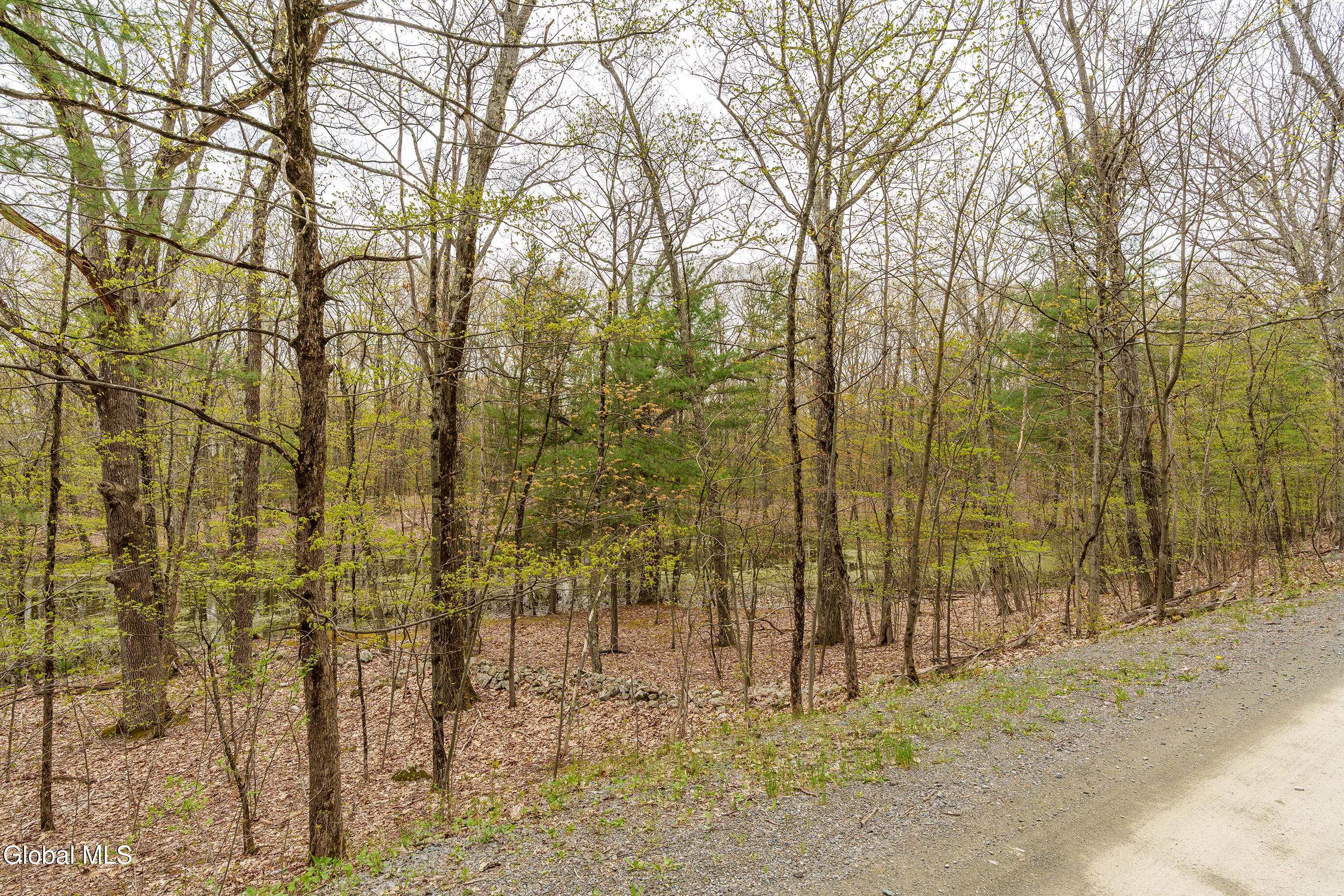 L.83 Maschodack Road Nassau NY 12123