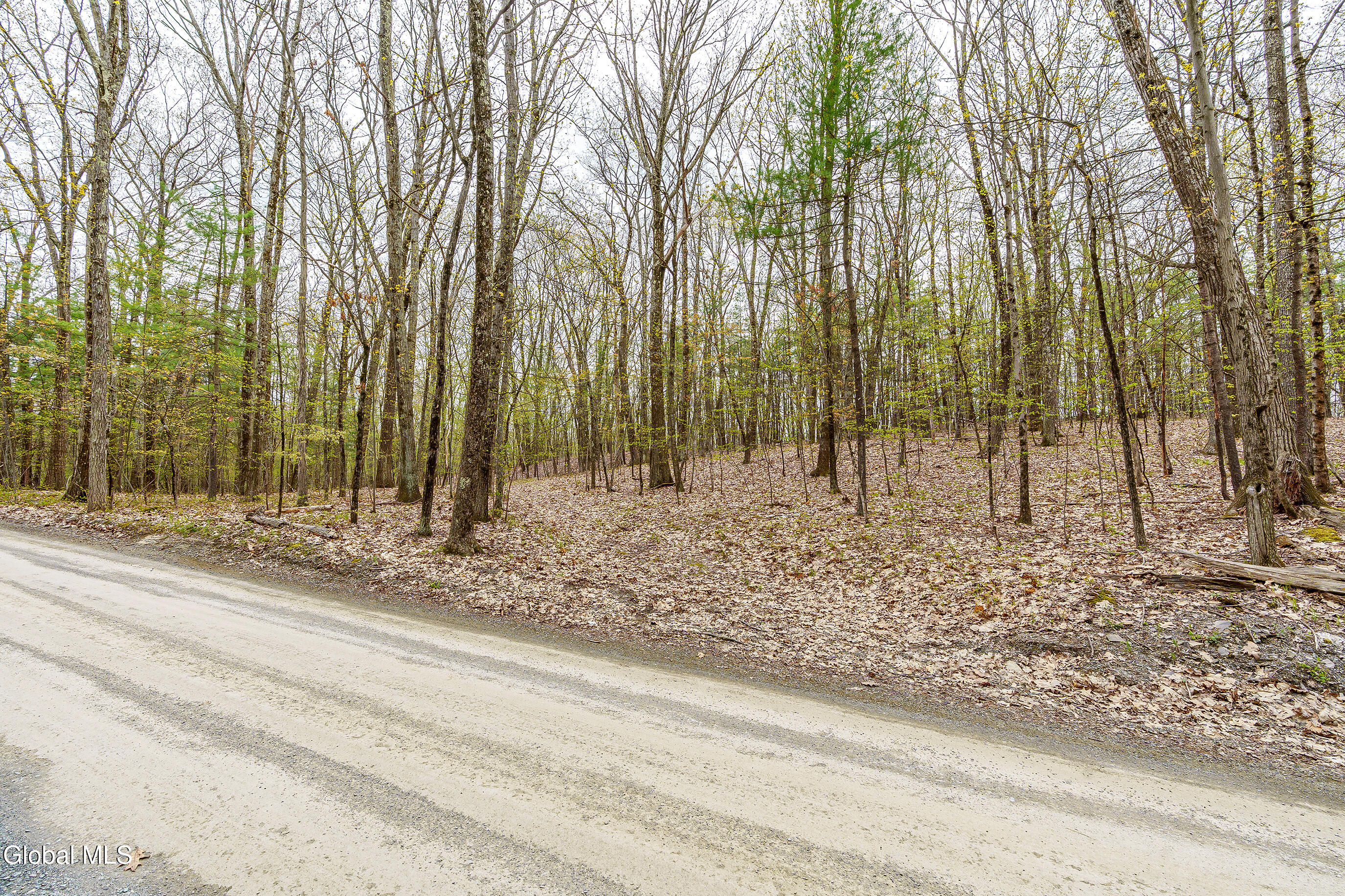 L.83 Maschodack Road Nassau NY 12123