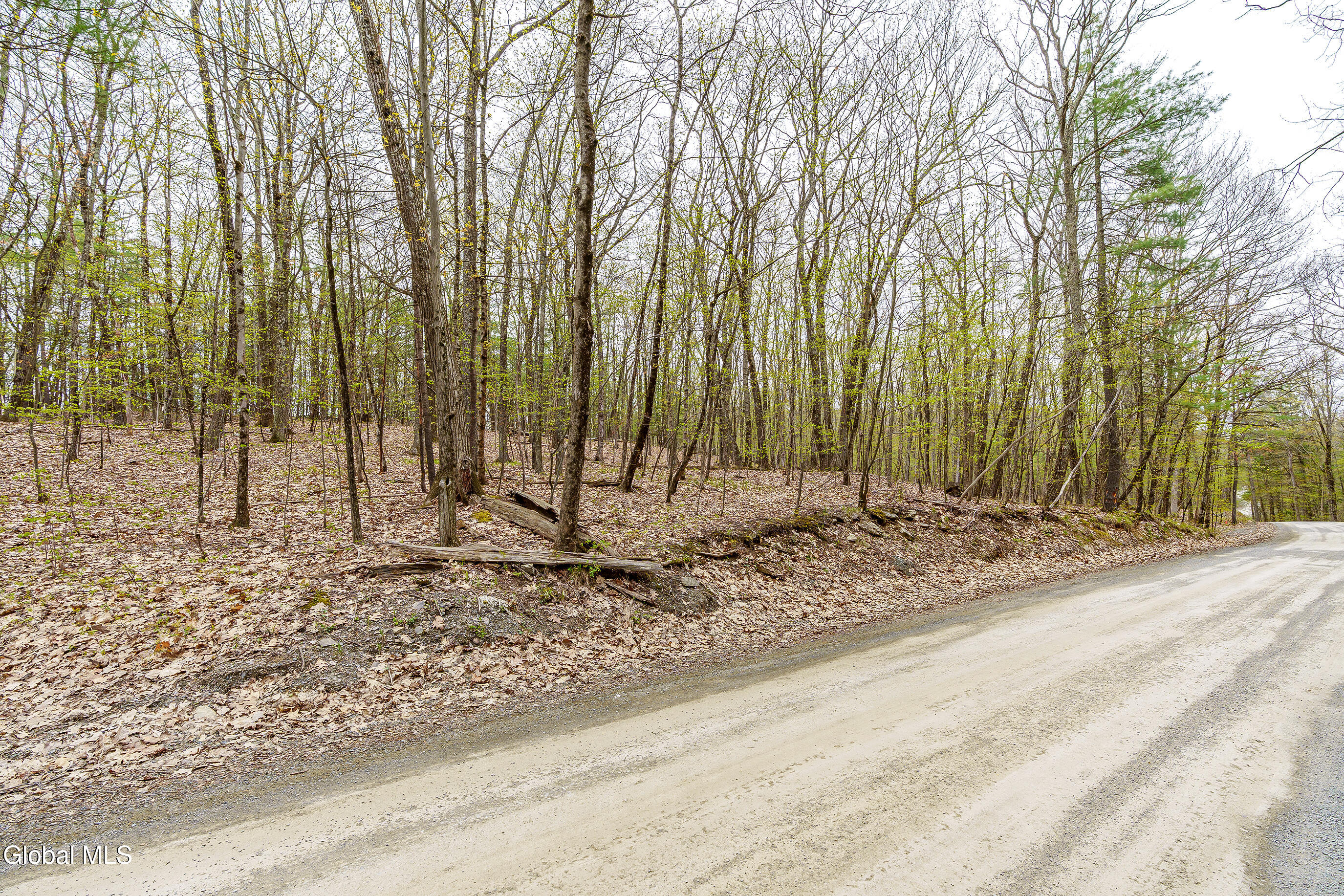 L.83 Maschodack Road Nassau NY 12123