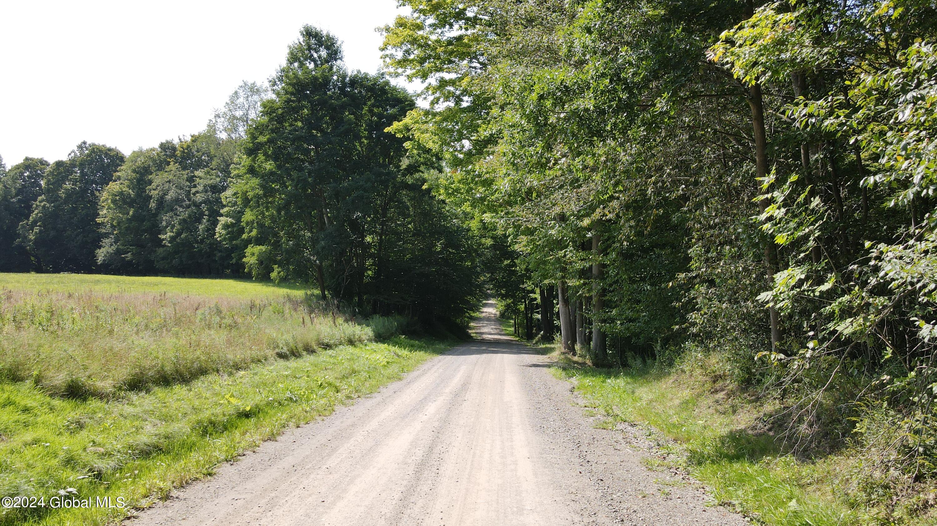 L31 Lewis Road Ellery NY 14756