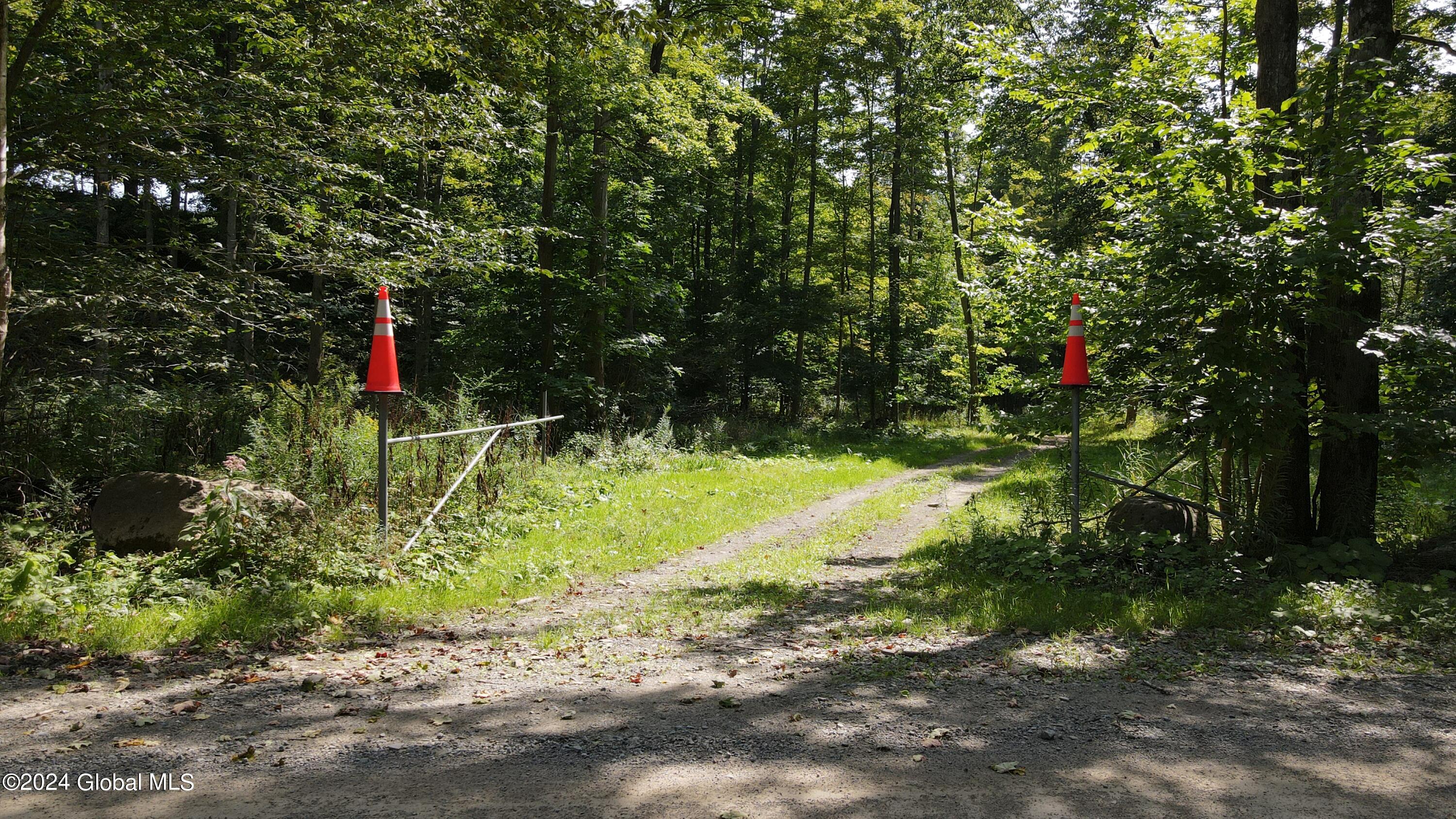 L31 Lewis Road Ellery NY 14756