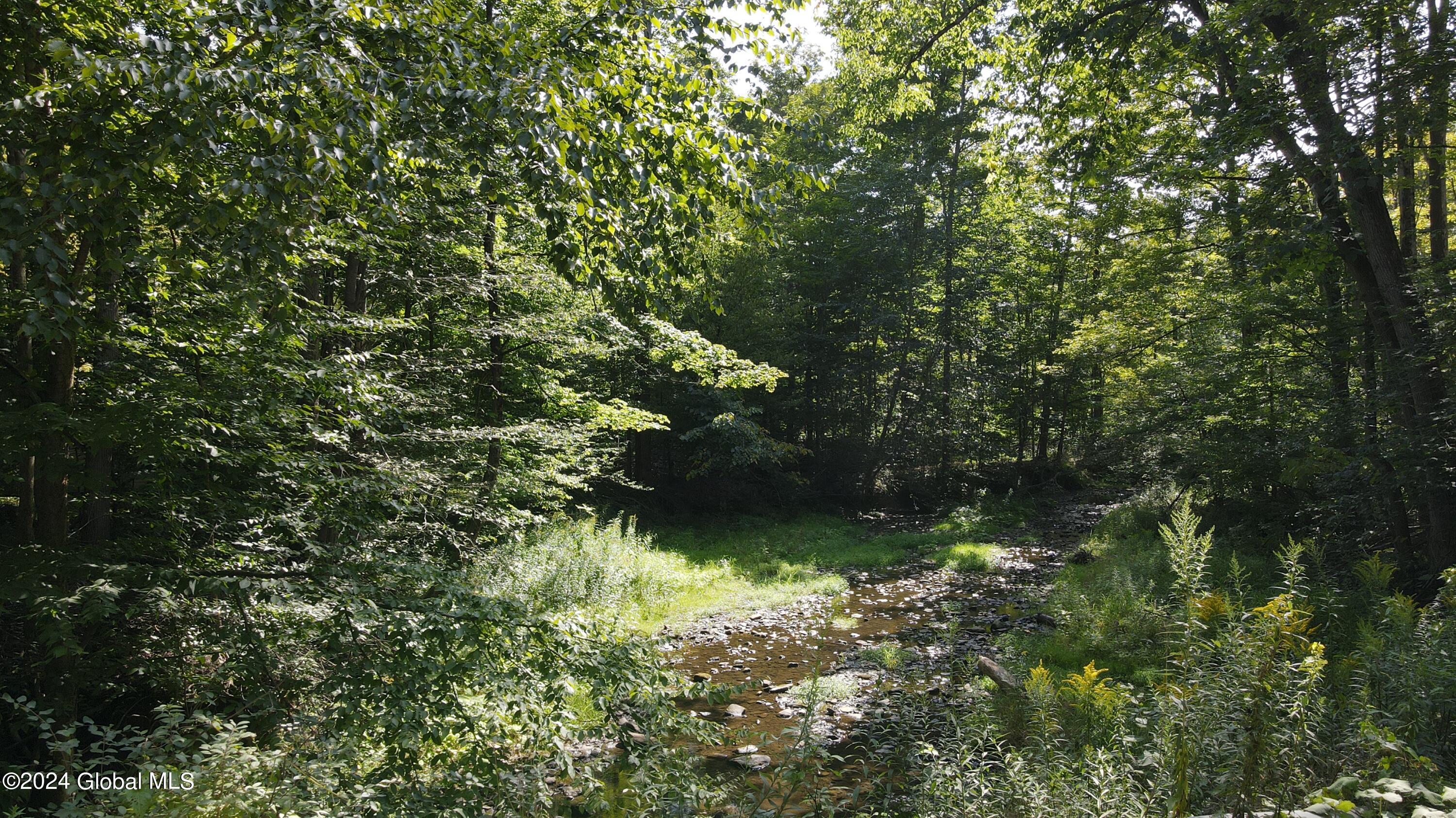 L31 Lewis Road Ellery NY 14756