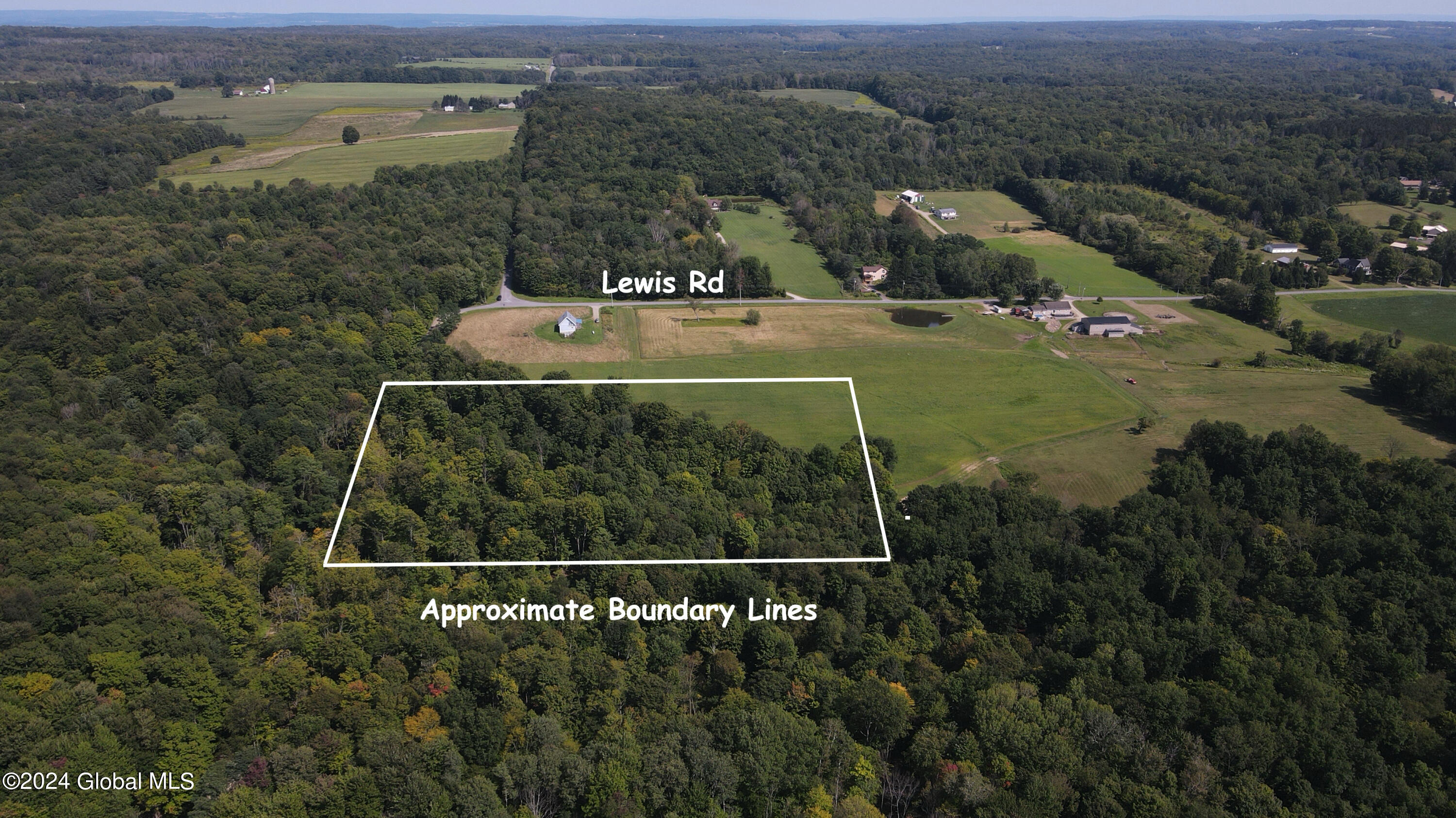 L31 Lewis Road Ellery NY 14756