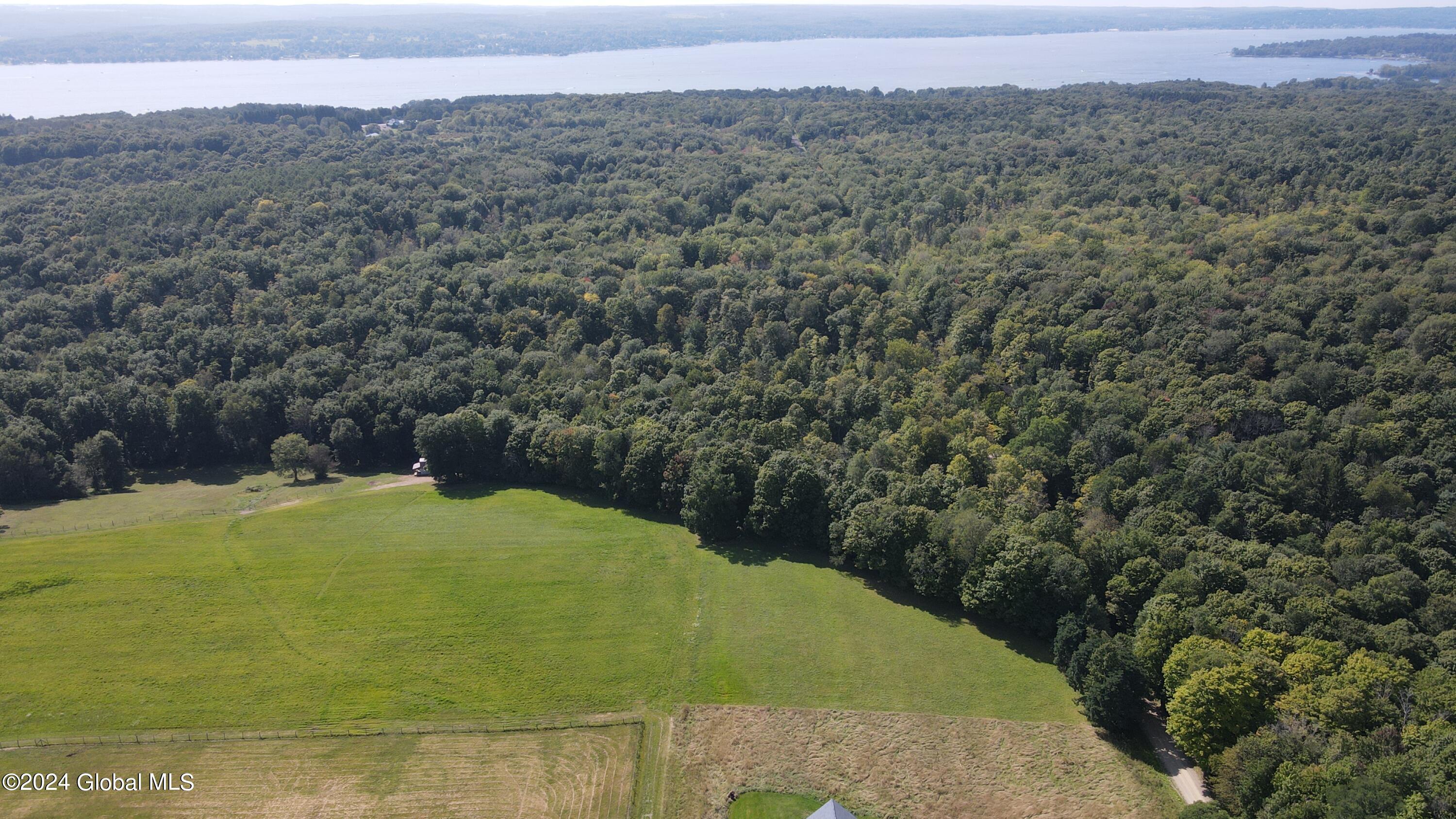 L31 Lewis Road Ellery NY 14756