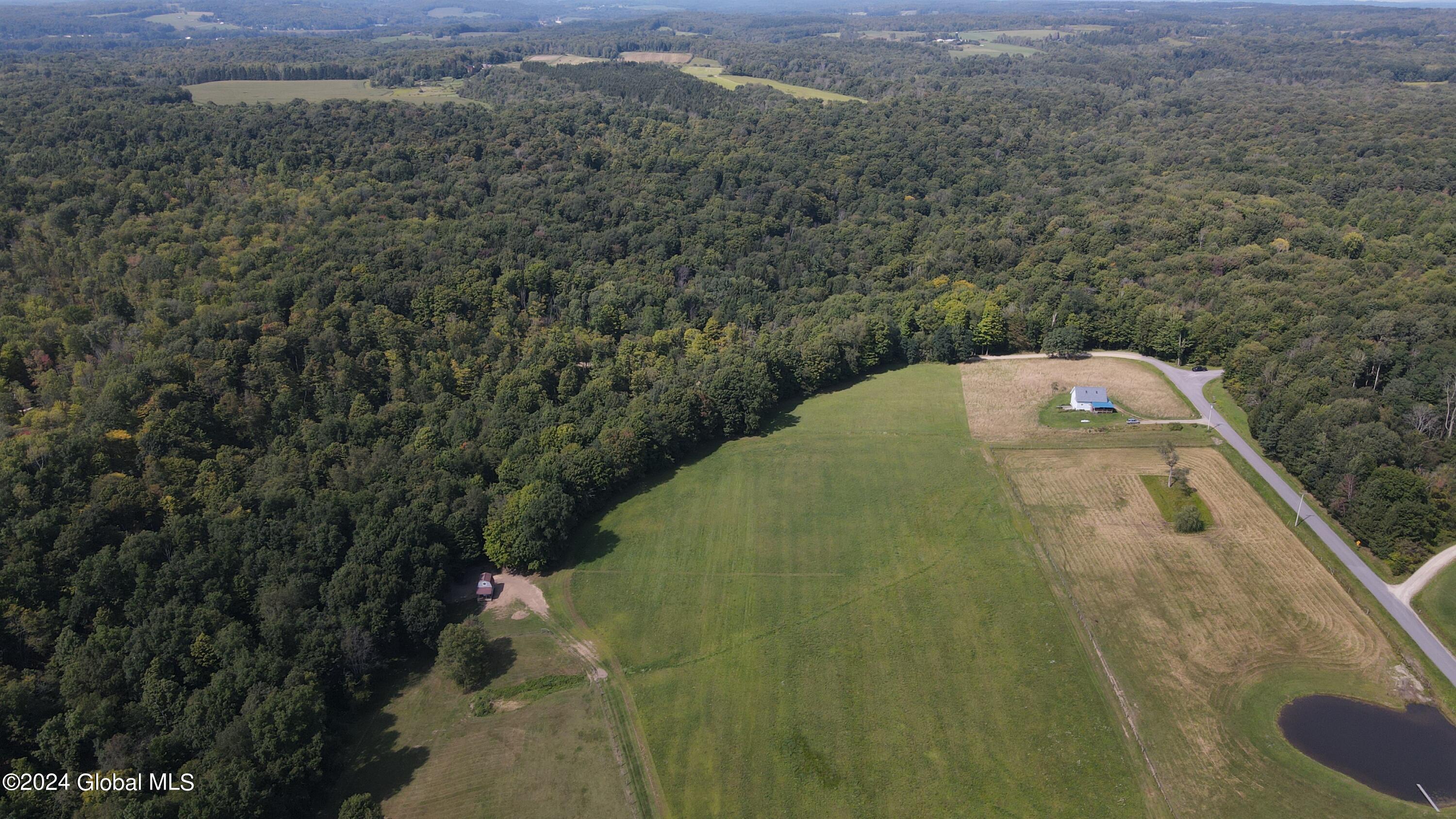 L31 Lewis Road Ellery NY 14756