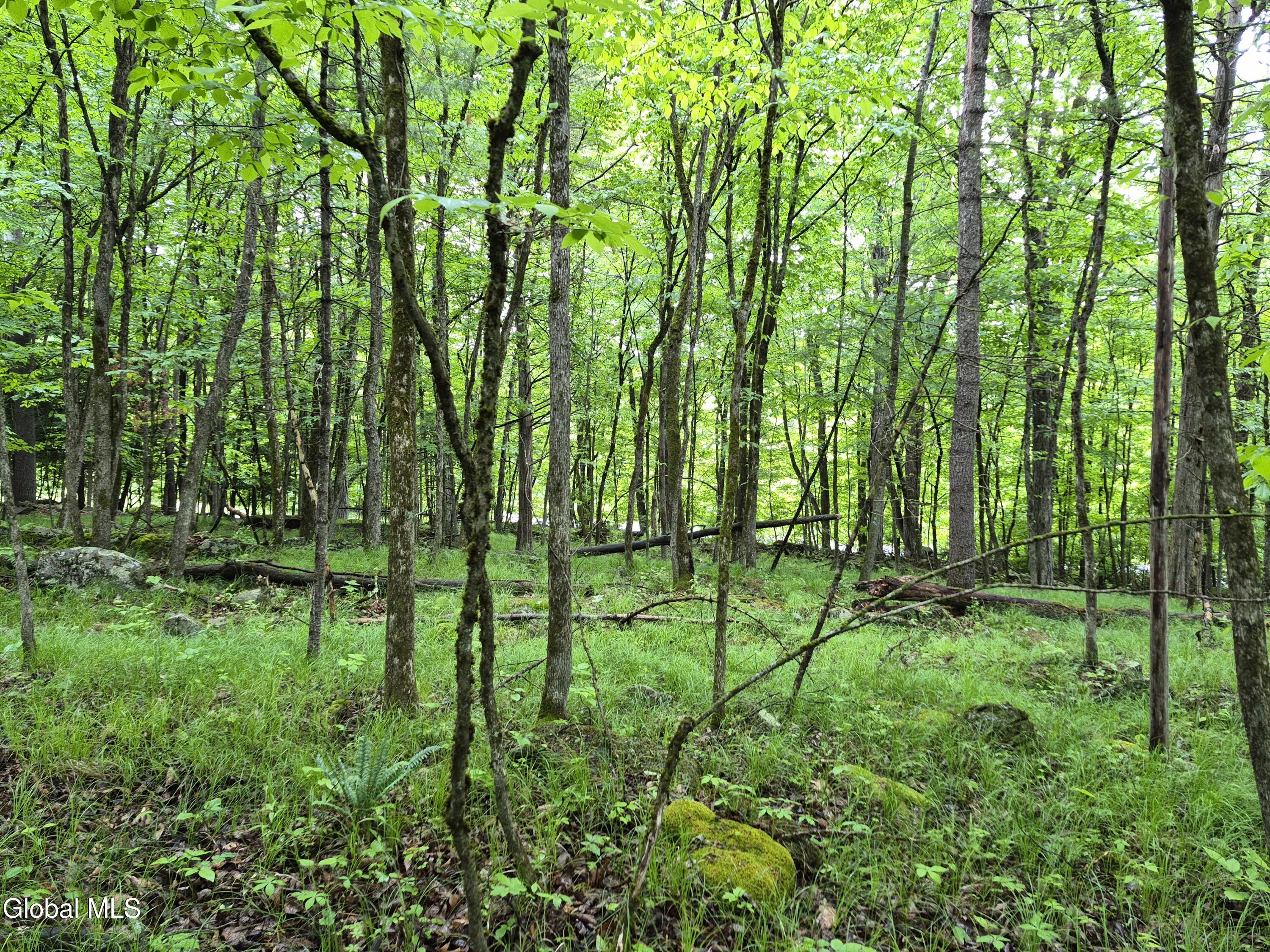 L1.2 Goodman Road Fort Ann NY 12827